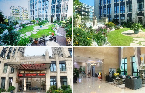 上海生命樹醫(yī)院環(huán)境