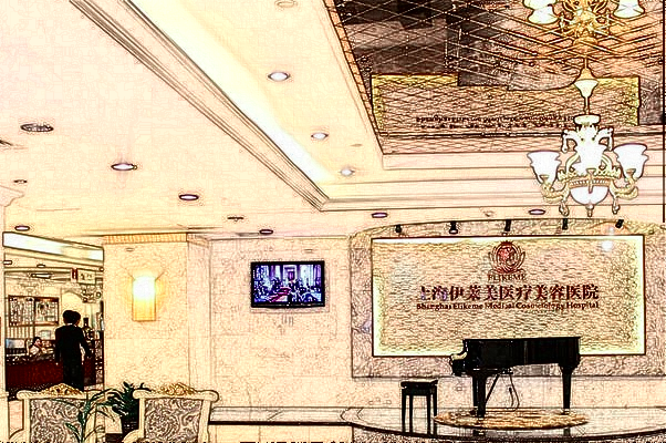 上海伊萊美做脂肪填充那個(gè)醫(yī)生好_附醫(yī)生名單