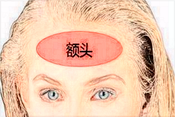 自體脂肪豐額頭價格表_自體脂肪豐額頭可以維持多久