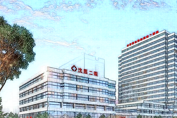 2024沈陽二院整形科價(jià)目表_沈陽醫(yī)大二院整形科哪個(gè)大夫好