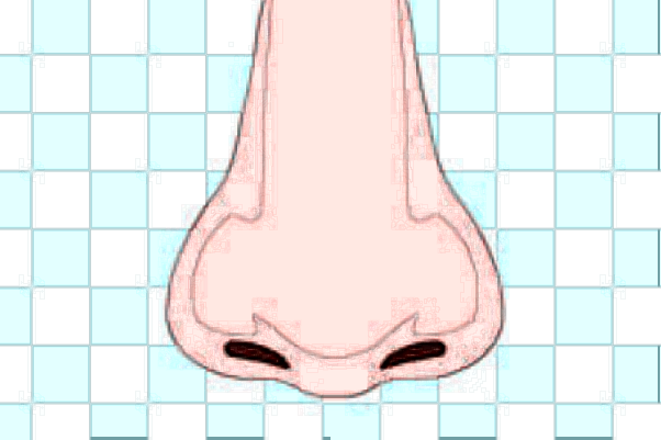 膨體隆鼻可以維持多少年?膨體隆鼻可以取出來(lái)嗎?