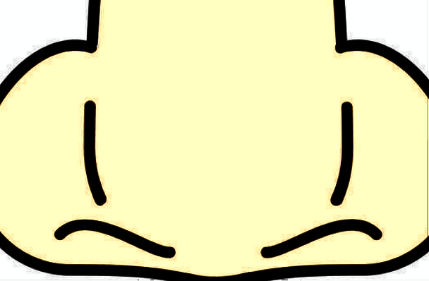 膨體隆鼻會不會越來越低?膨體隆鼻會吸收變低嗎?