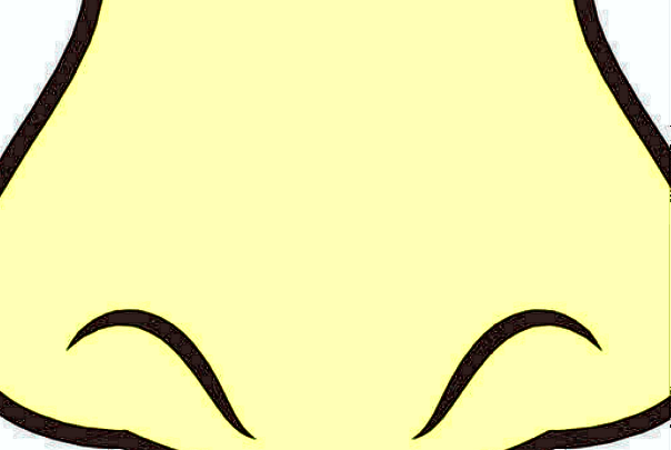 膨體隆鼻會不會越來越低?膨體隆鼻會吸收變低嗎?