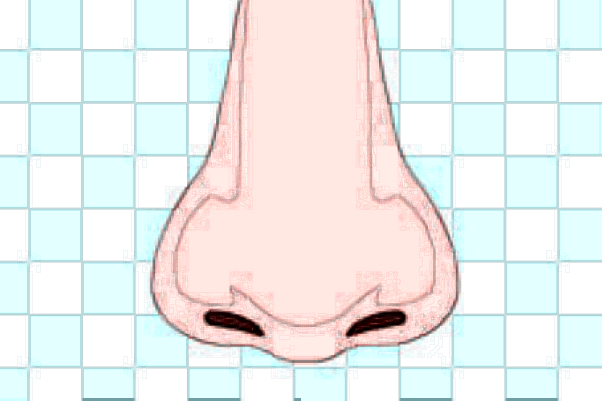 成都百齡做肋骨鼻怎么樣?肋骨鼻手術(shù)費(fèi)用價(jià)格2024