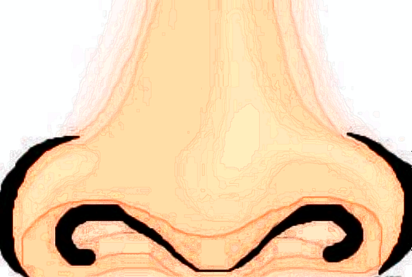 上海華山醫(yī)院隆鼻做的好嗎_哪個(gè)醫(yī)生做得好