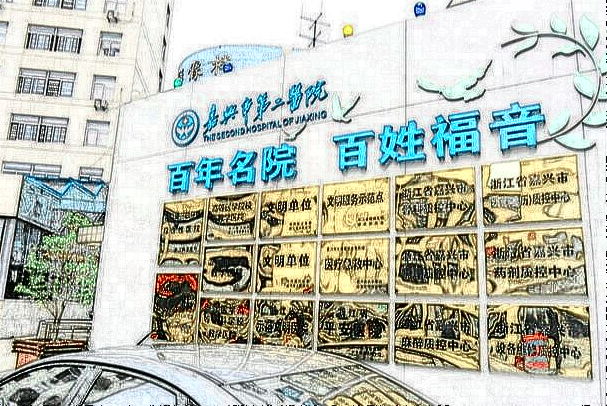 嘉興二院隆鼻怎么樣?2024隆鼻手術(shù)整形價格公開