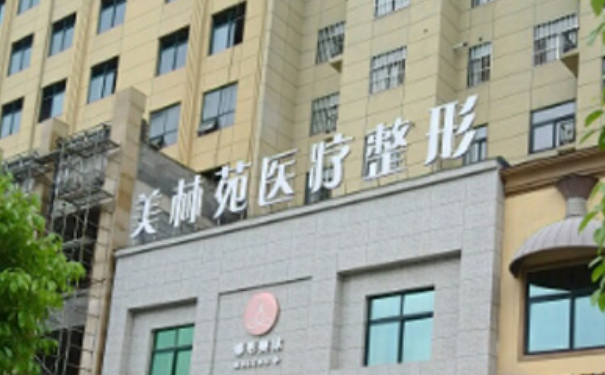 駐馬店美林苑醫(yī)療美容診所耳朵整形術(shù)后半年案例曝光&技術(shù)怎么樣?