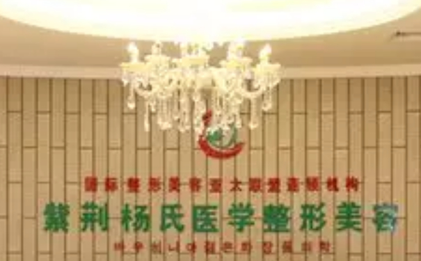 楊氏醫(yī)學(xué)美容診所鼻整形技術(shù)怎么樣?收費(fèi)標(biāo)準(zhǔn)?案例點(diǎn)評