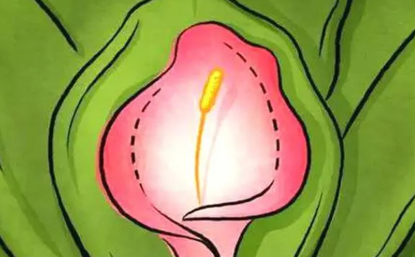 蘇州薇琳美容醫(yī)院縮陰手術(shù)價目一覽表?技術(shù)評價&三個月案例恢復(fù)過程