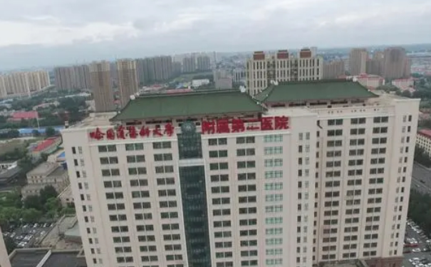 哈爾濱醫(yī)科大學附屬第二醫(yī)院李慶春耳朵畸形矯正技術亮點怎么樣?術后半年案例