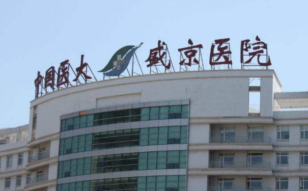 盛京醫(yī)院自體脂肪填充120天案例反饋(效果怎么樣?技術等級)