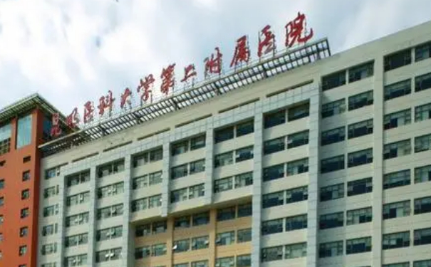 昆明醫(yī)科大學(xué)第二附屬醫(yī)院隆胸案例曝光&技術(shù)怎么樣?