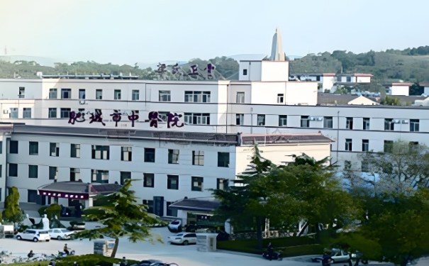 肥城市中醫(yī)醫(yī)院王永紅兩腮凹陷整形手術(shù)怎么樣?價格?求美案例&技術(shù)評測